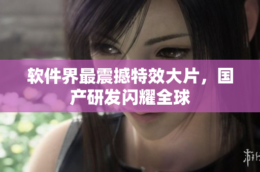 软件界最震撼特效大片，国产研发闪耀全球