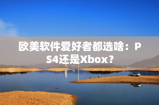 欧美软件爱好者都选啥：PS4还是Xbox？