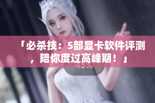 「必杀技：5部显卡软件评测，陪你度过高峰期！」