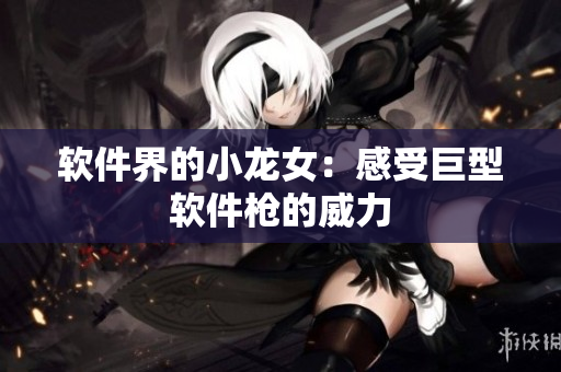 软件界的小龙女：感受巨型软件枪的威力