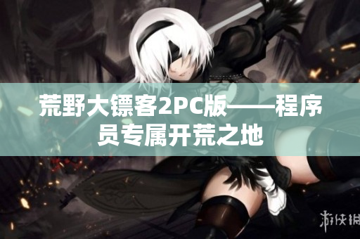 荒野大镖客2PC版——程序员专属开荒之地
