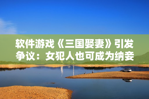软件游戏《三国娶妻》引发争议：女犯人也可成为纳妾对象