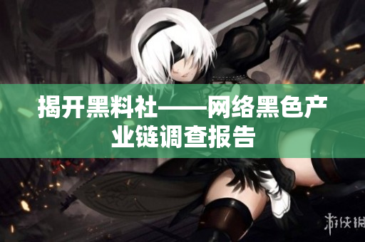 揭开黑料社——网络黑色产业链调查报告