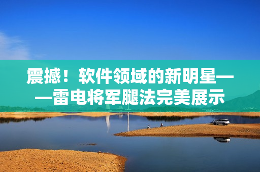震撼！软件领域的新明星——雷电将军腿法完美展示