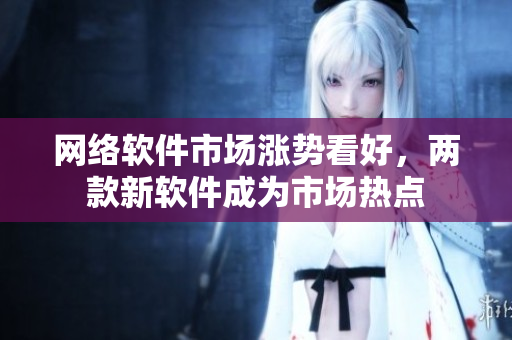 网络软件市场涨势看好，两款新软件成为市场热点