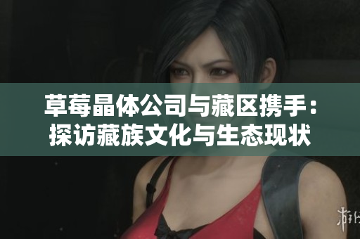 草莓晶体公司与藏区携手：探访藏族文化与生态现状