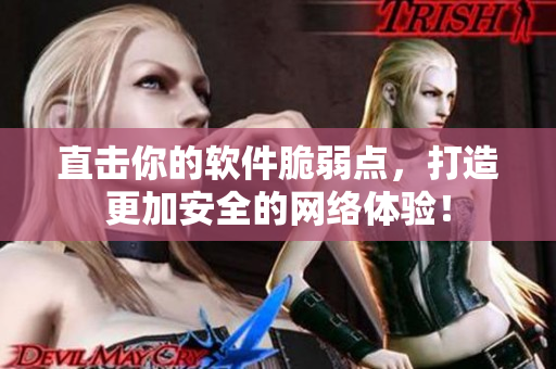 直击你的软件脆弱点，打造更加安全的网络体验！