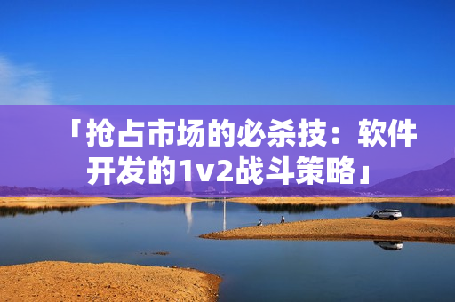 「抢占市场的必杀技：软件开发的1v2战斗策略」