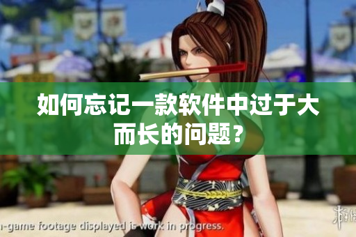 如何忘记一款软件中过于大而长的问题？