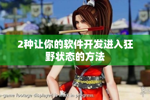 2种让你的软件开发进入狂野状态的方法