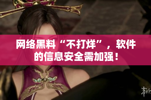 网络黑料“不打烊”，软件的信息安全需加强！