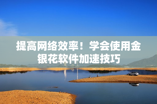 提高网络效率！学会使用金银花软件加速技巧