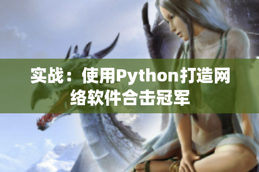 实战：使用Python打造网络软件合击冠军
