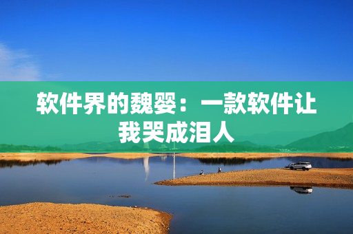 软件界的魏婴：一款软件让我哭成泪人