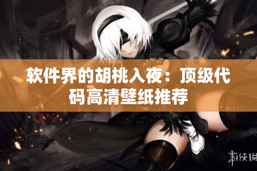 软件界的胡桃入夜：顶级代码高清壁纸推荐