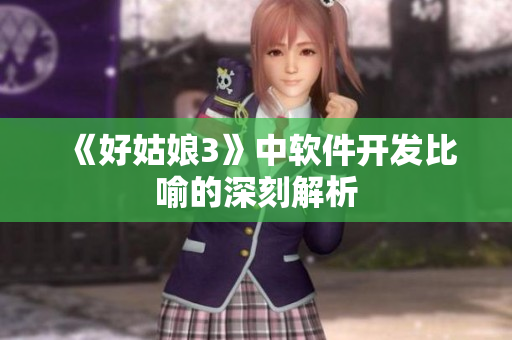《好姑娘3》中软件开发比喻的深刻解析
