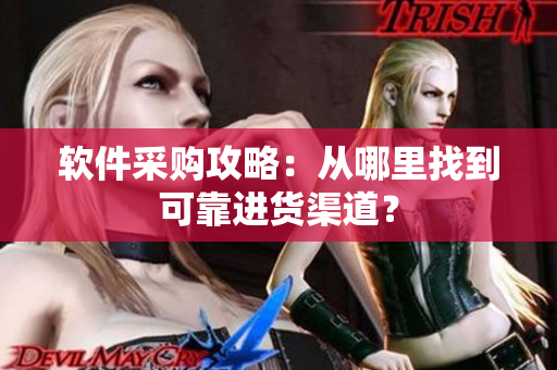 软件采购攻略：从哪里找到可靠进货渠道？