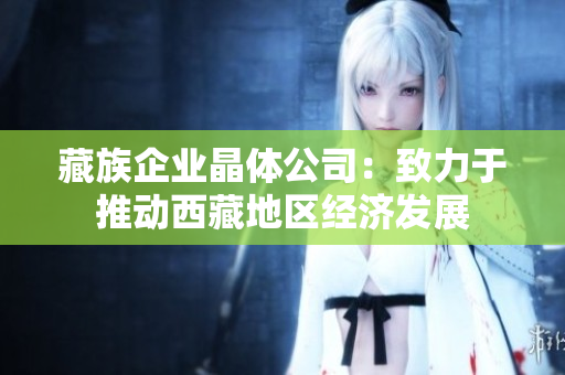 藏族企业晶体公司：致力于推动西藏地区经济发展