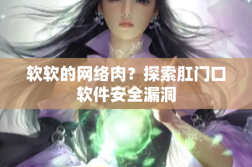 软软的网络肉？探索肛门口软件安全漏洞