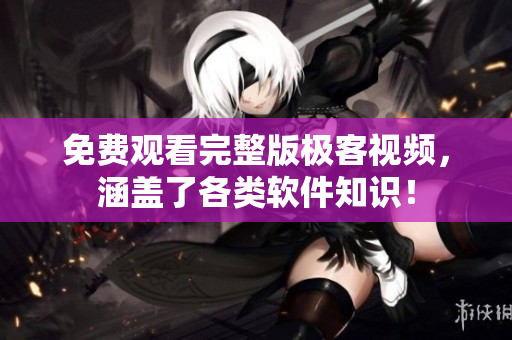 免费观看完整版极客视频，涵盖了各类软件知识！