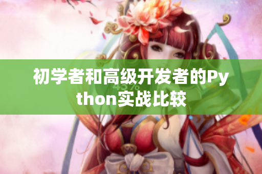 初学者和高级开发者的Python实战比较