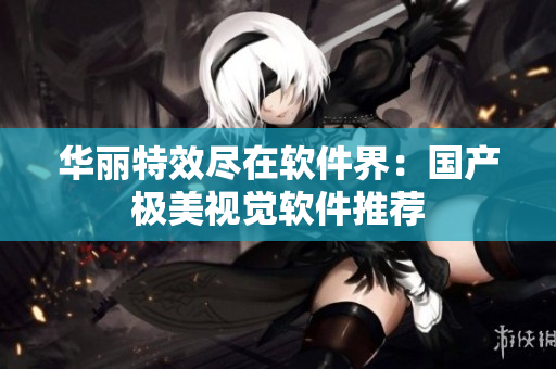 华丽特效尽在软件界：国产极美视觉软件推荐