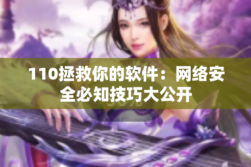110拯救你的软件：网络安全必知技巧大公开