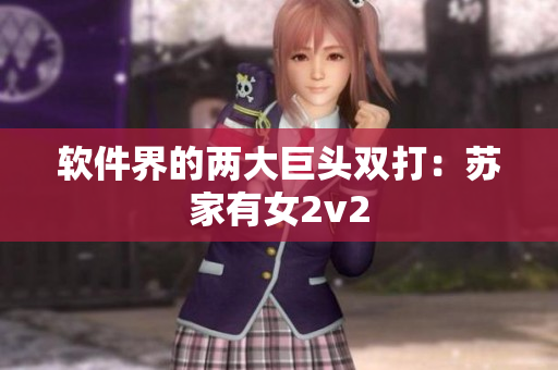 软件界的两大巨头双打：苏家有女2v2
