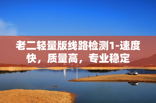 老二轻量版线路检测1-速度快，质量高，专业稳定