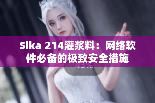 Sika 214灌浆料：网络软件必备的极致安全措施