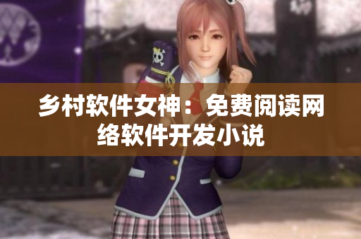 乡村软件女神：免费阅读网络软件开发小说