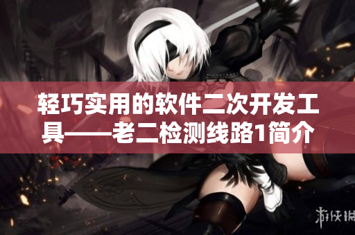 轻巧实用的软件二次开发工具——老二检测线路1简介
