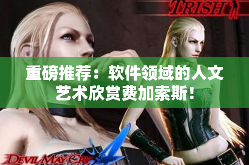 重磅推荐：软件领域的人文艺术欣赏费加索斯！