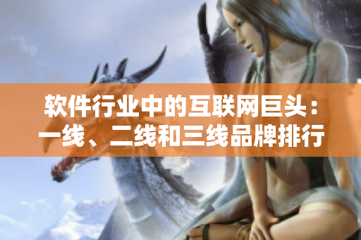 软件行业中的互联网巨头：一线、二线和三线品牌排行