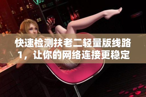 快速检测扶老二轻量版线路1，让你的网络连接更稳定