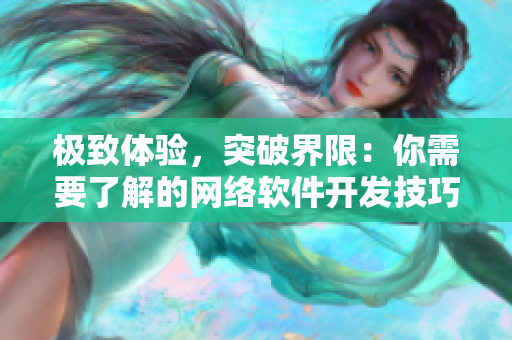 极致体验，突破界限：你需要了解的网络软件开发技巧