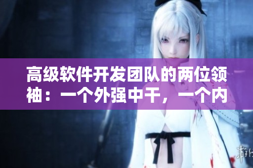 高级软件开发团队的两位领袖：一个外强中干，一个内敛多才