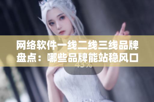网络软件一线二线三线品牌盘点：哪些品牌能站稳风口？