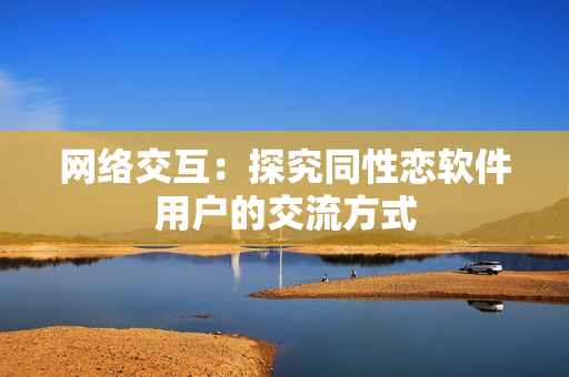 网络交互：探究同性恋软件用户的交流方式