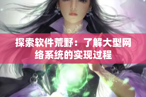 探索软件荒野：了解大型网络系统的实现过程