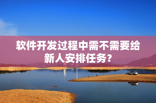 软件开发过程中需不需要给新人安排任务？