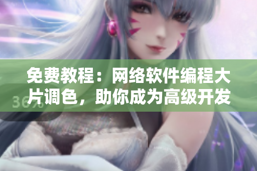免费教程：网络软件编程大片调色，助你成为高级开发者！