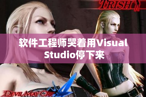 软件工程师哭着用Visual Studio停下来