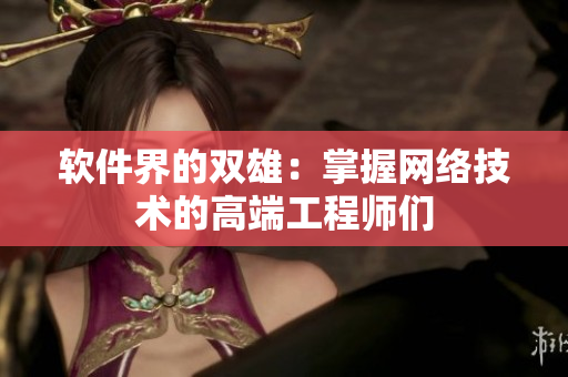 软件界的双雄：掌握网络技术的高端工程师们