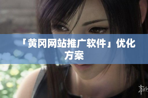 「黄冈网站推广软件」优化方案
