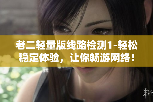 老二轻量版线路检测1-轻松稳定体验，让你畅游网络！