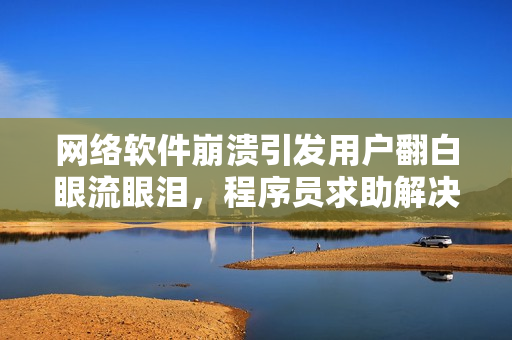 网络软件崩溃引发用户翻白眼流眼泪，程序员求助解决方案