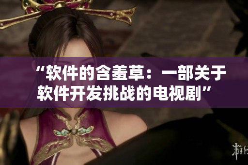 “软件的含羞草：一部关于软件开发挑战的电视剧”