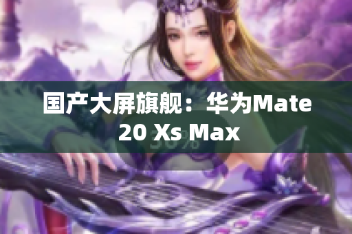国产大屏旗舰：华为Mate 20 Xs Max
