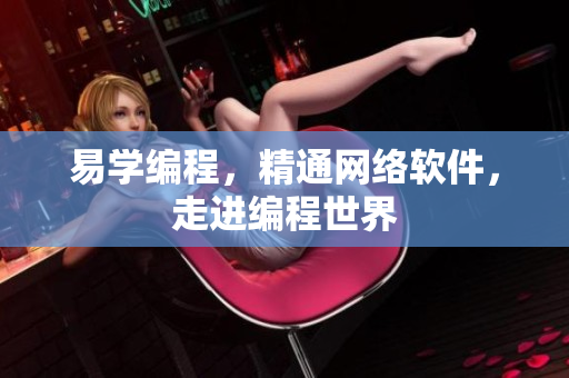 易学编程，精通网络软件，走进编程世界